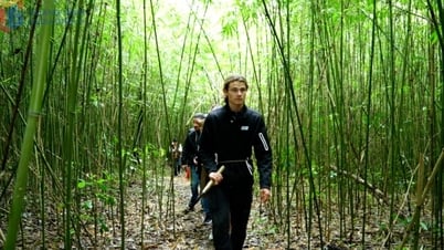 การอนุรักษ์ความหลากหลายทางชีวภาพที่สัมพันธ์กับการพัฒนาป่าไม้ที่ยั่งยืน
