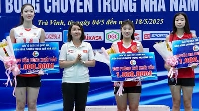 ពានរង្វាន់បាល់ទះថ្នាក់ជាតិ វិវាទ បុណ្យភូមិឆ្ងាយ