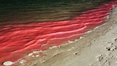 L'eau de mer à Ha Long est rouge et émet une lumière bleue la nuit, que disent les experts ?