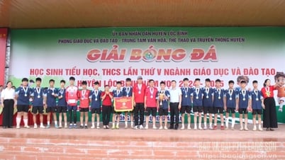Lộc Bình: Gần 240 vận động viên tham gia giải bóng đá học sinh - Báo và Đài Phát thanh Truyền hình Lạng Sơn