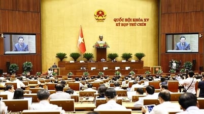 Предложение о переходе к специальным механизмам в 5 населенных пунктах после слияния