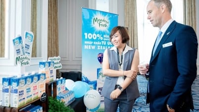 Meadow Fresh - Dòng sữa giữ trọn tinh túy từ sữa tươi New Zealand