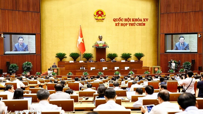 ការបំភ្លឺអំពីយន្តការកំណត់ភ្នាក់ងារទទួលខុសត្រូវ ប្រសិនបើមានការរលូតកូនដោយយុត្តិធម៌