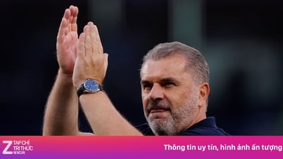 Tottenham coach will lose his job after Europa League final with MU