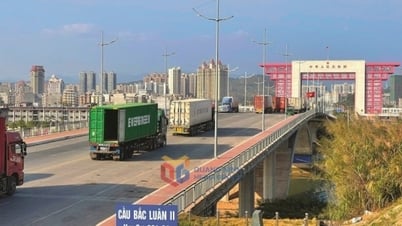 Près de 9 millions de dollars provenant de l'exportation de produits agricoles frais via la porte frontière internationale de Mong Cai