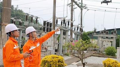 المهام الرئيسية للتنمية المستدامة