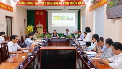 Triển vọng từ mô hình nhân giống cây dược liệu làm kiểng tại TP Sa Đéc