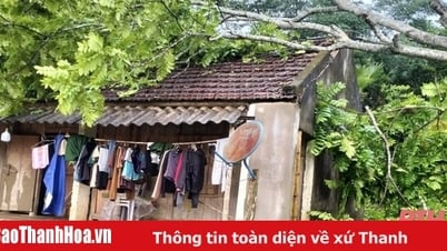 ตอบสนองเชิงรุกต่อพายุฝนฟ้าคะนองและภัยพิบัติทางธรรมชาติอื่น ๆ