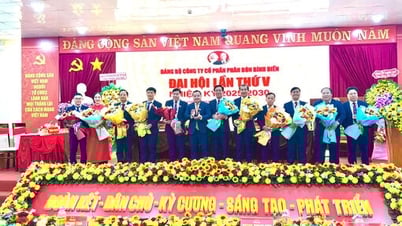 Ông Ngô Văn Đông tái đắc cử chức vụ Bí thư Đảng ủy Công ty Cổ phần Phân bón Bình Điền