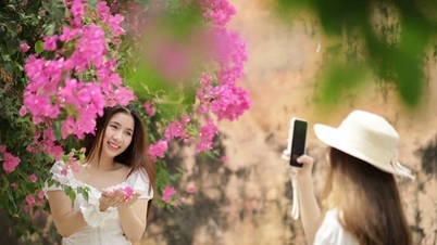 Khanh Hoa៖ អ្នកទេសចរចាប់អារម្មណ៍លើវិថីផ្កាក្រដាសចម្រុះពណ៌នៅ Nha Trang