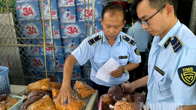 Ninh Binh: Destruidos casi 80 kg de alimentos de origen desconocido