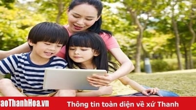 ウェブサイト tracuudiemvnedu.vip で 3 年生の VNEDU スコアを調べる手順