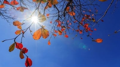 北部の豪雨は徐々に弱まり、晴れの日も