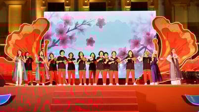 Programa de Intercambio Cultural Vietnam-Corea Hai Phong 2025