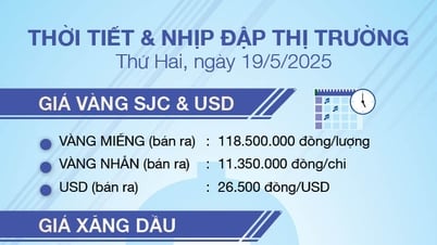 Thời tiết & nhịp đập thị trường 19/5