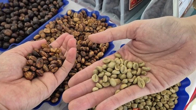 Prix ​​du café aujourd'hui 19-5 : Quel sera le prix cette nouvelle semaine ?