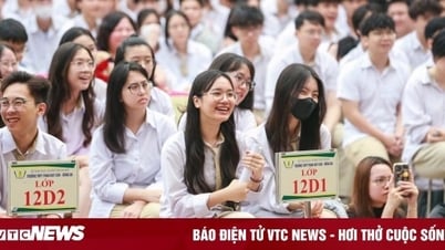 Si vous êtes bon en anglais, quelle spécialisation choisir pour éviter le chômage ?