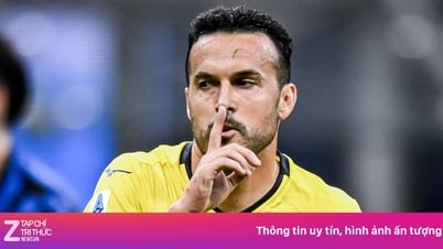 Pedro surprises again