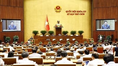 Chính phủ đề xuất bổ sung dự toán hơn 4.300 tỉ đồng cho bộ, ngành, địa phương