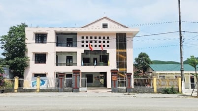 สำนักงานใหญ่ส่วนเกินหลังการควบรวมกิจการ: การรวมการใช้ซ้ำเข้ากับการกำจัดตามขั้นตอน