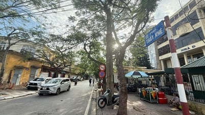 Điều chỉnh tổ chức giao thông trên đường Thất Khê, quận Hồng Bàng