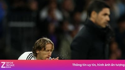 Xabi Alonso tenía razón sobre Modric