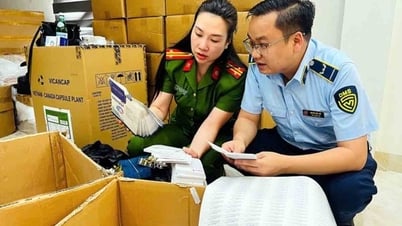 El viceprimer ministro Bui Thanh Son dice: "Abordar de inmediato la denuncia de productos falsificados o de mala calidad".
