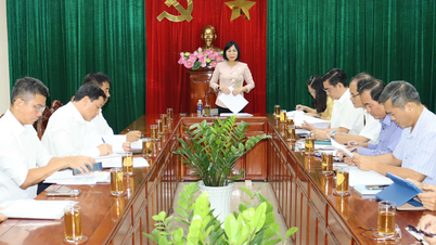 Dong Nai បន្តគ្រប់គ្រងថ្មសំណង់ និងសម្ភារៈបំពេញសម្រាប់គម្រោងសំខាន់ៗ