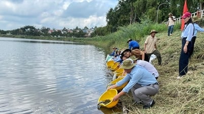 Dak Nong libera 1.500 kg de alevines de pescado para regenerar los recursos acuáticos