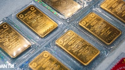 金塊の購入価格は1週間後に450万VND/タエル下落