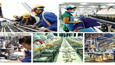 Kế hoạch hành động của Chính phủ về phát triển kinh tế tư nhân