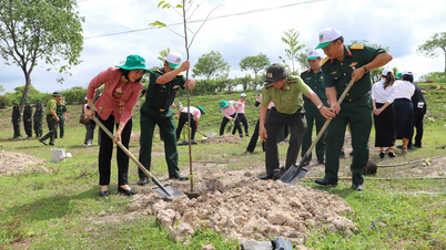 Đồng Nai trồng hơn 25 triệu cây xanh giai đoạn 2021-2025