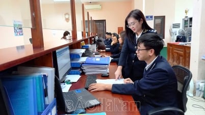 Hải quan Hà Nam triển khai thành công phần mềm đăng ký kiểm hóa