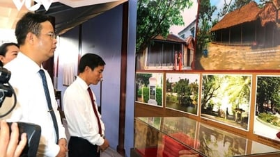 Открытие выставки «Культурное наследие президента Хо Ши Мина в Хюэ»
