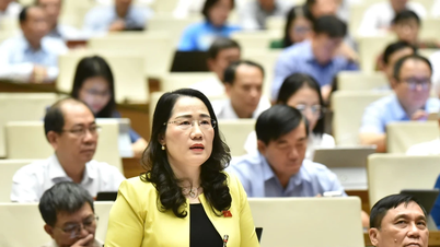 Phó Chủ nhiệm Ủy ban Pháp luật và Tư pháp đề nghị thành lập Tòa án chuyên biệt thuộc Trung tâm tài chính quốc tế trong hệ thống tổ chức Tòa án nhân dân