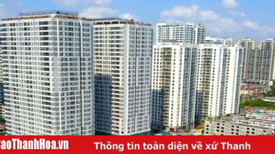 Rà soát quy định cho thuê căn hộ ngắn ngày