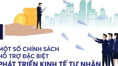 Infografía: Algunas políticas especiales de apoyo al desarrollo económico privado