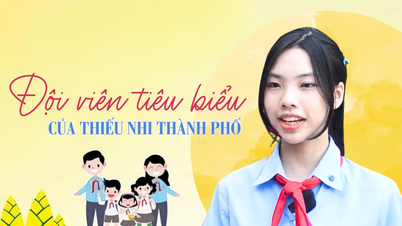 Đội viên tiêu biểu của thiếu nhi thành phố