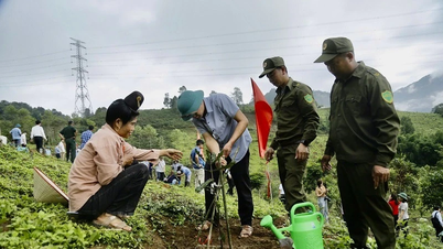 ディエンビエン：トゥアンジャオ地区でマカダミアの木を植え、育てる楽しいお祭り