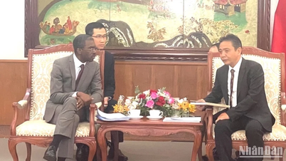Vietnam comparte proactivamente su experiencia en conservación del patrimonio