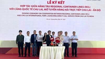 Quảng Nam mở tuyến hàng hải trực tiếp đến Ấn Độ