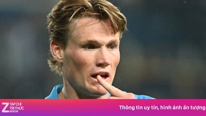 ヨーロッパのサッカーの何が面白いのでしょうか？
