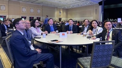 Đầu tư vào Hoa Kỳ: Cơ hội nào cho doanh nghiệp Việt Nam?
