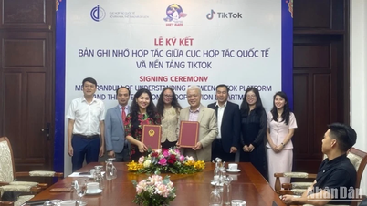 Difundiendo los valores culturales vietnamitas en plataformas digitales