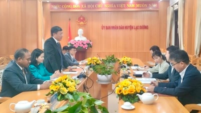 เมืองลั่วหยางยังคงขยายความร่วมมืออันเป็นมิตรกับเมืองยาจิโย ประเทศญี่ปุ่น