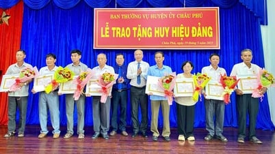 Le Comité permanent du Parti du district de Chau Phu a décerné les insignes du Parti le 19 mai
