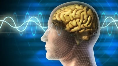 3日間誰とも話さなかったら脳に何が起こるでしょうか?