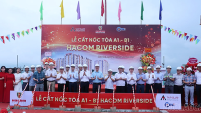 Cất nóc tòa nhà đầu tiên Dự án nhà ở xã hội khu bờ tả sông Hồng, xã Vạn Hòa