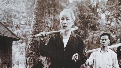 호 삼촌은 세상의 본질을 연구하고 흡수했습니다.
