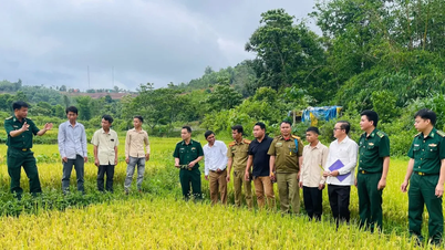 Trao lúa giống tặng người dân biên giới nước bạn Lào